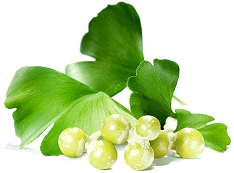 Ginkmedžio lapai gerina kraujotaką varpos audiniuose